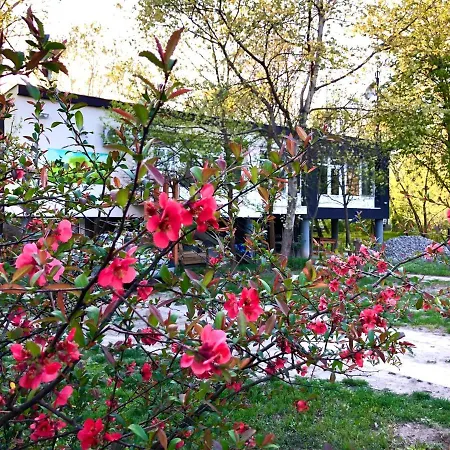 Guest house Fekete Golya Pihenohaz *
