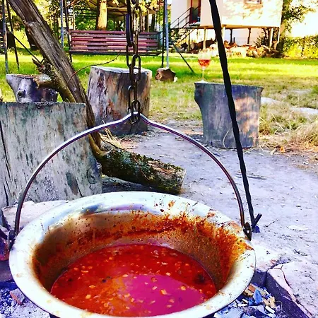 招待所 Fekete Golya Pihenohaz 包姚