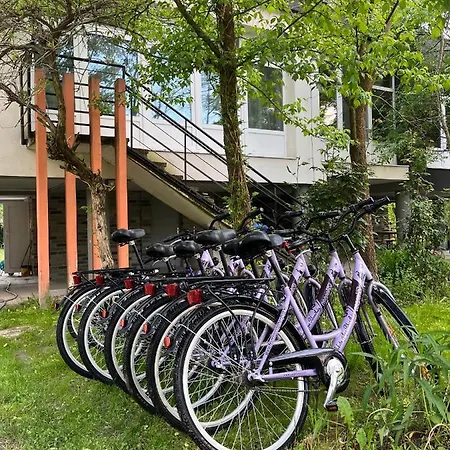 Fekete Golya Pihenohaz 3* 包姚