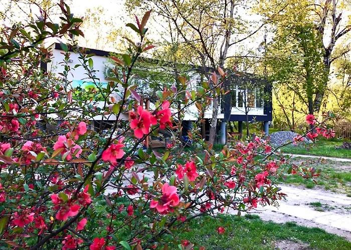Vendégház Fekete Gólya 3*