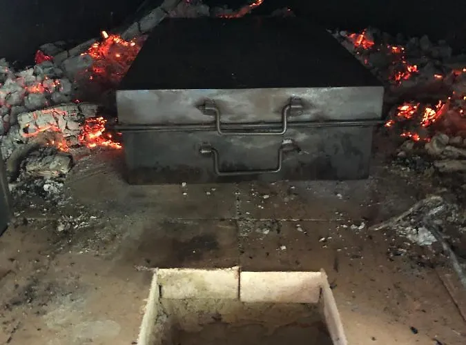 Fekete Gólya Baja