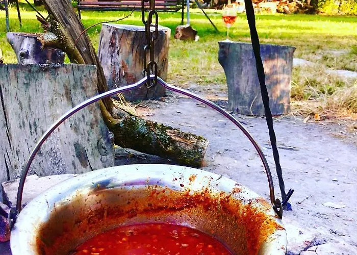 Vendégház Fekete Gólya Baja